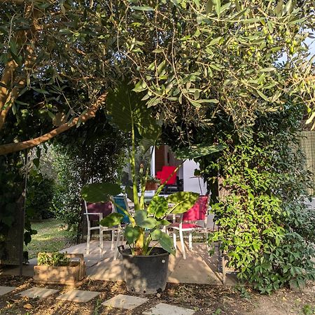 La Maison Sous L'Olivier Villa Morieres-les-Avignon Kültér fotó